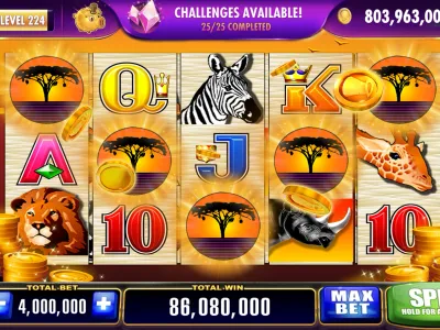 Painel de Ganhos Cassino 222 Win screenshot